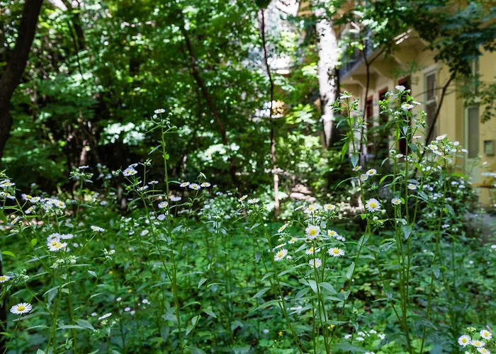 Apartament Art Lovers Loft-garden View 3br 2ba Gem Budapesta
