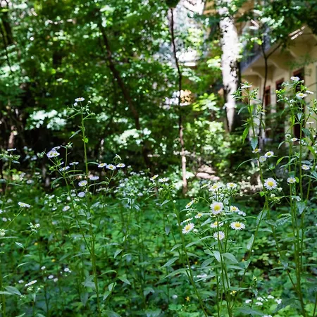 アパート Art Lovers Loft-garden View 3br 2ba Gem ブダペスト